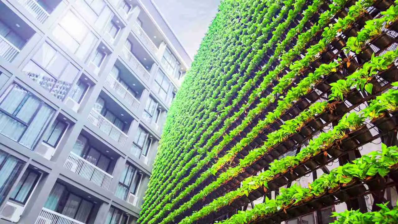 Hydroponic Apartment