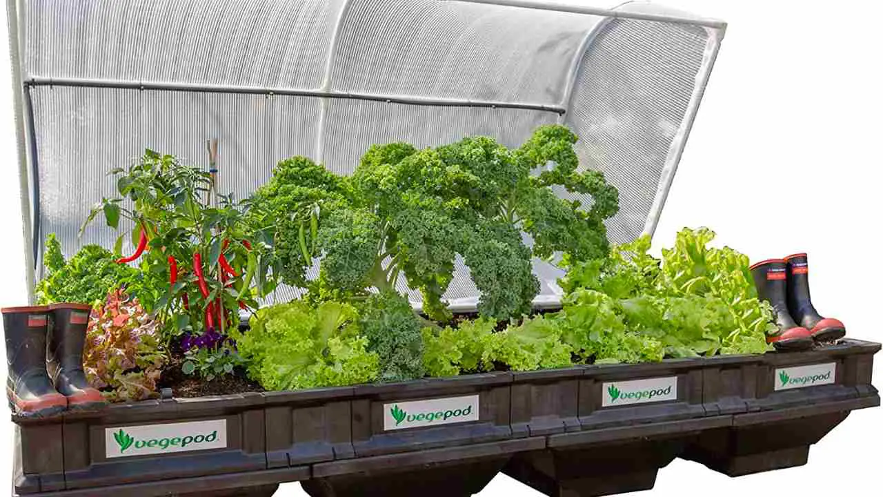 Hydroponic Bed